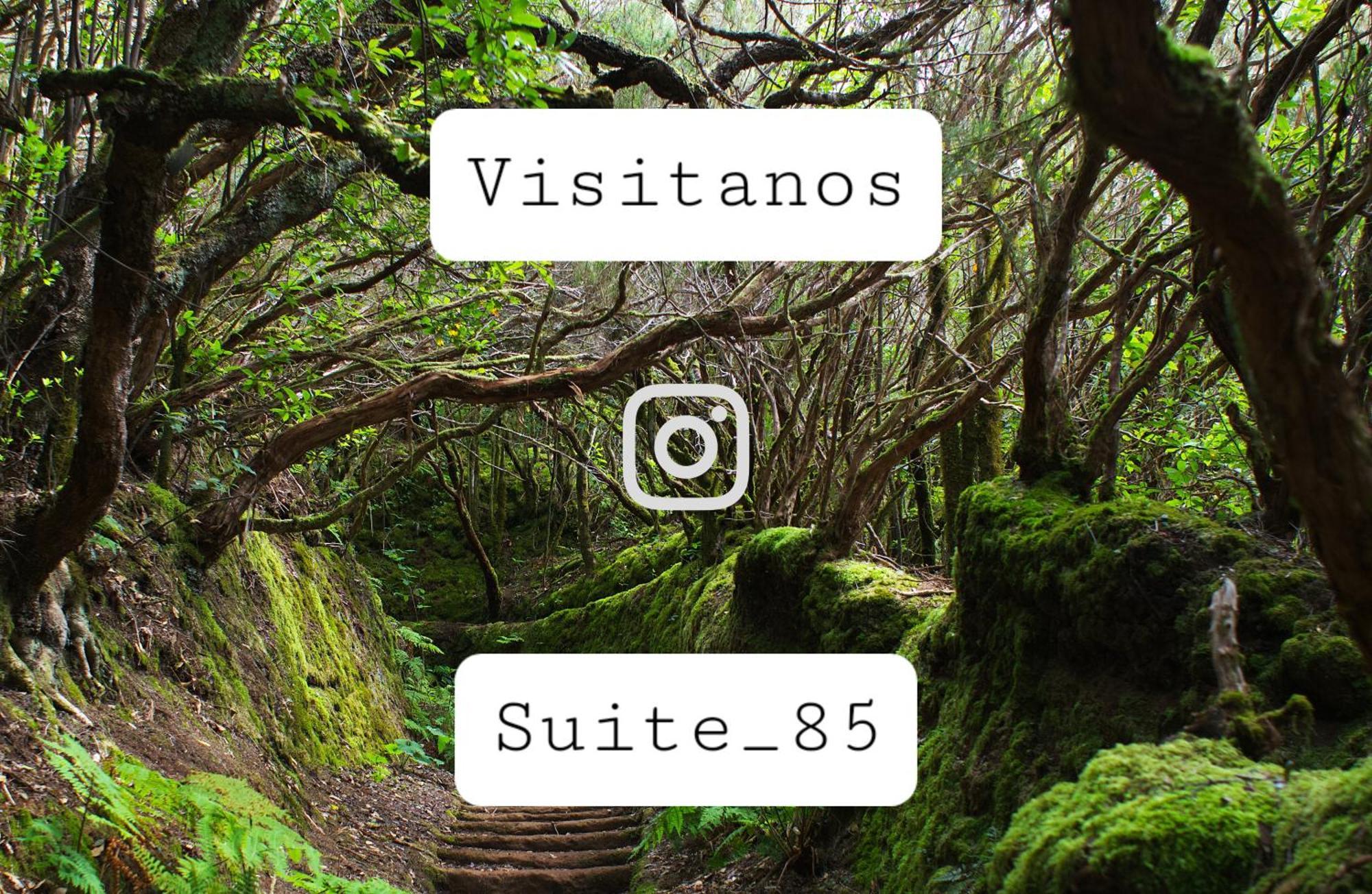 Suite 85, Villa Boutique Privada Con Piscina Icod De Los Vinos Exterior foto